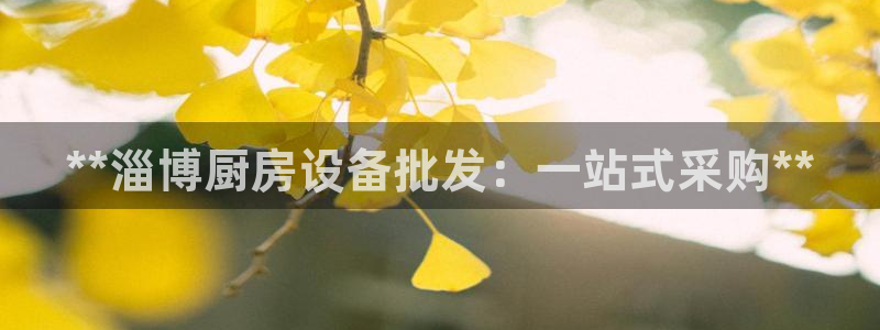 ag旗舰平台尊龙代言：**淄博厨房设备批发：一站式采购**