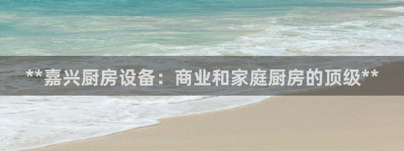 百度一下尊龙：**嘉兴厨房设备：商业和家庭厨房的顶级**