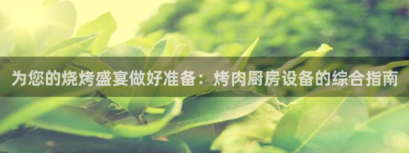 尊龙是什么软件：为您的烧烤盛宴做好准备：烤肉厨房设备的综合指