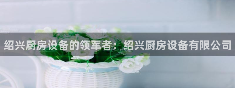 尊龙凯时电竞注册：绍兴厨房设备的领军者：绍兴厨房设备有限公司