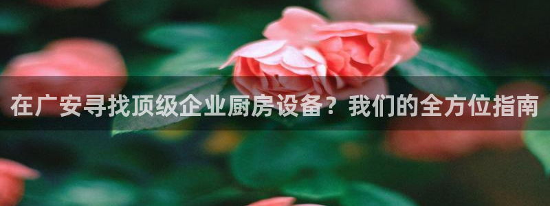 凯时尊龙app国际官方网站：在广安寻找顶级企业厨房设备？我们
