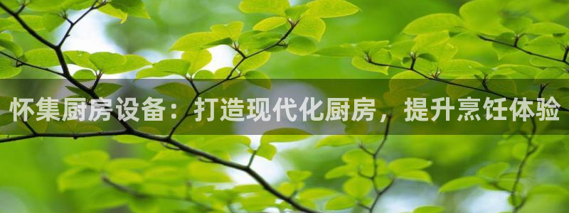 凯时官网手机版首页：怀集厨房设备：打造现代化厨房，提升烹饪体