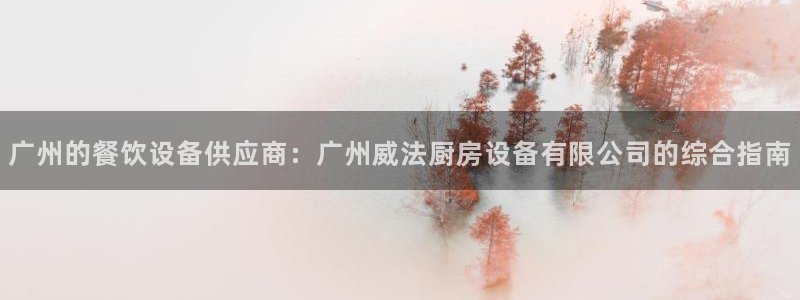 尊龙凯时法拉币：广州的餐饮设备供应商：广州威法厨房设备有限公