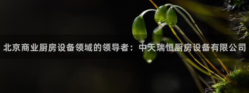 尊龙人品怎么样：北京商业厨房设备领域的领导者：中天瑞恒厨房设
