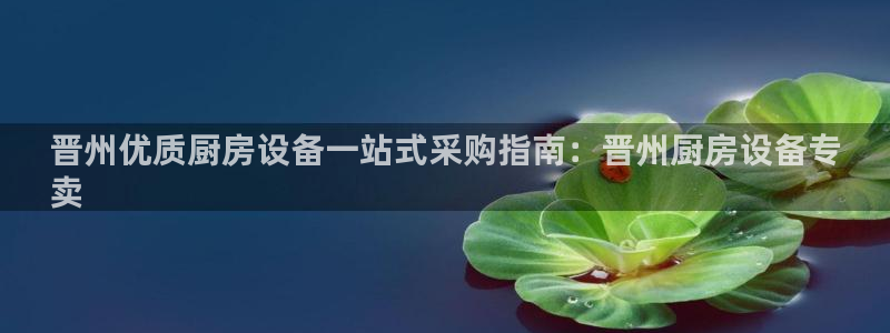 尊龙凯时美金能提取吗：晋州优质厨房设备一站式采购指南：晋州厨