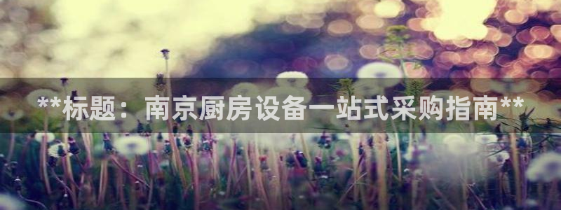 尊龙官网入口：**标题：南京厨房设备一站式采购指南**