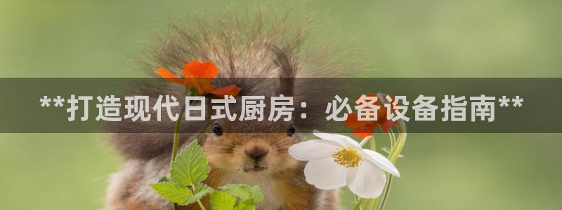 Z6尊龙凯时官方：**打造现代日式厨房：必备设备指南**