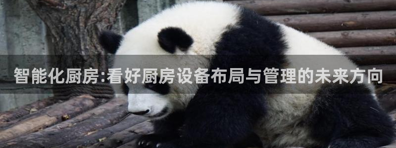 尊龙凯时公司官网