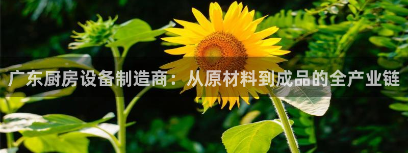 尊龙目前情况