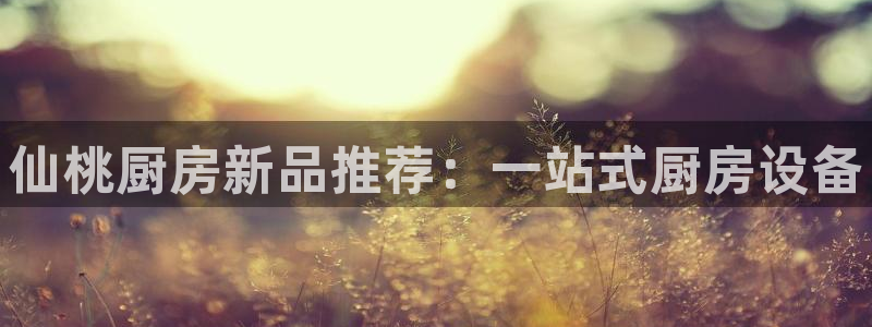 尊龙,人生就是搏