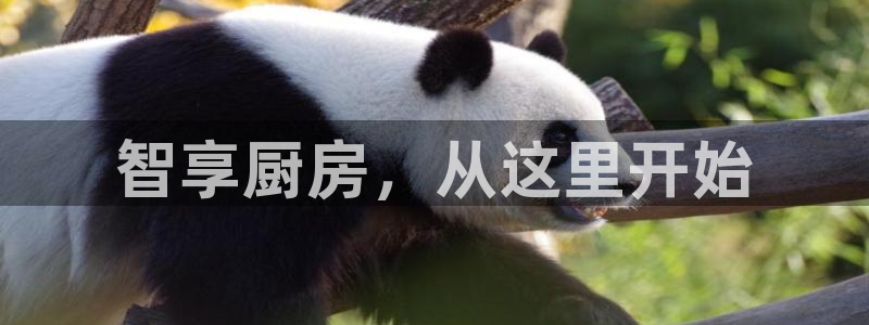 凯时APP官网首页