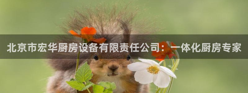 尊龙凯时新闻：北京市宏华厨房设备有限责任公司：一体化厨房专家