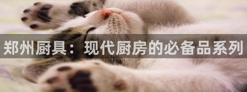 尊龙凯时网页版