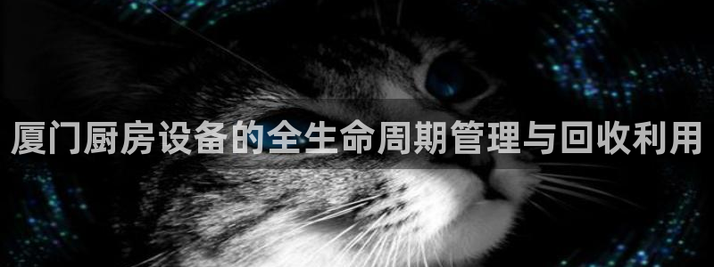 尊龙凯时不朽情缘