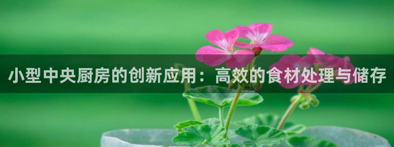 尊龙凯时app官网