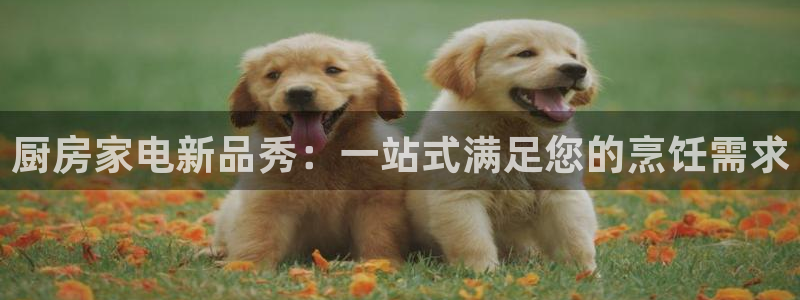 尊龙人生就是博网站