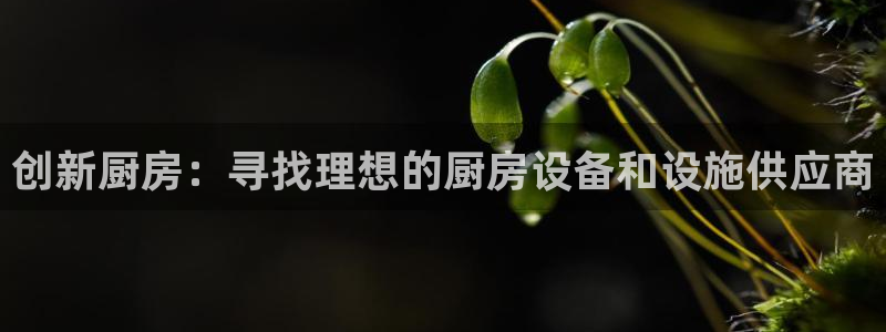 尊龙凯时平台有没有不到账的
