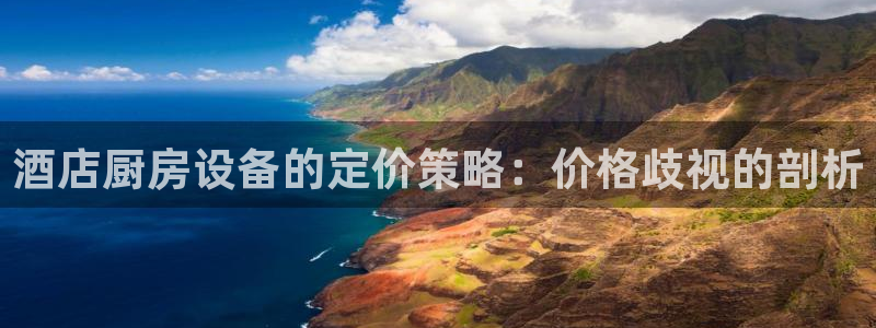 尊龙凯时取款有要求吗：酒店厨房设备的定价策略：价格歧视的剖析