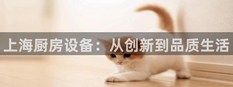 凯时官网下载客户端