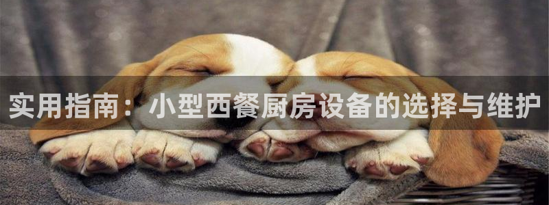 尊龙d88ag官方网站