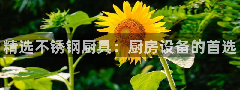 尊龙新版官网网页版