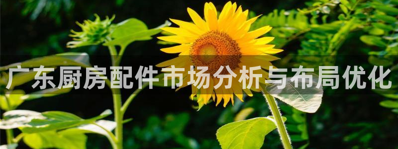 尊龙手机客户端app