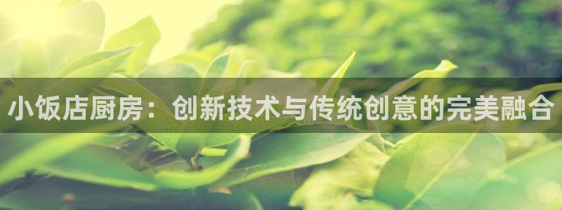 尊龙网址苹果版下载
