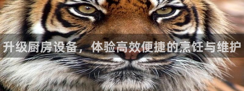 尊龙凯时人生就是搏 品牌专区