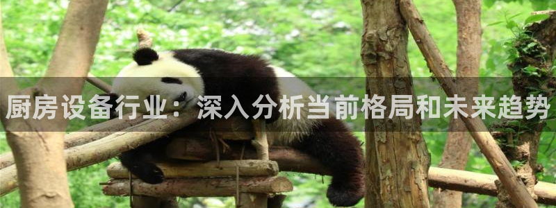 尊龙app最新版本官网：厨房设备行业：深入分析当前格局和未来