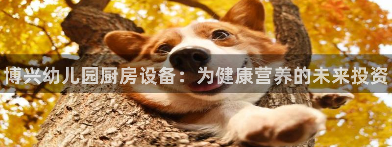 凯时在线平台官网：博兴幼儿园厨房设备：为健康营养的未来投资