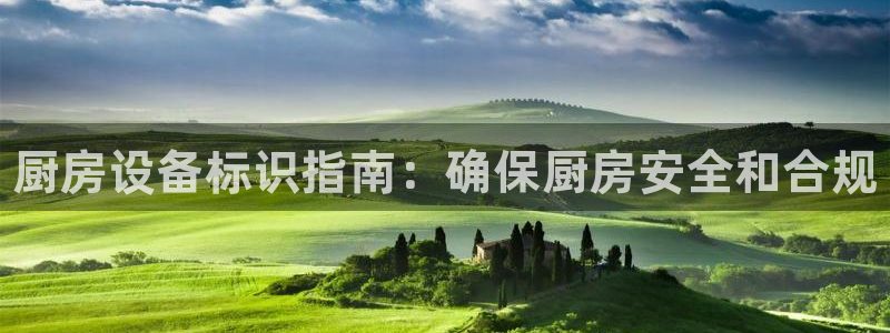 凯时kb88官方:厨房设备标识指南:确保厨房安全和合规