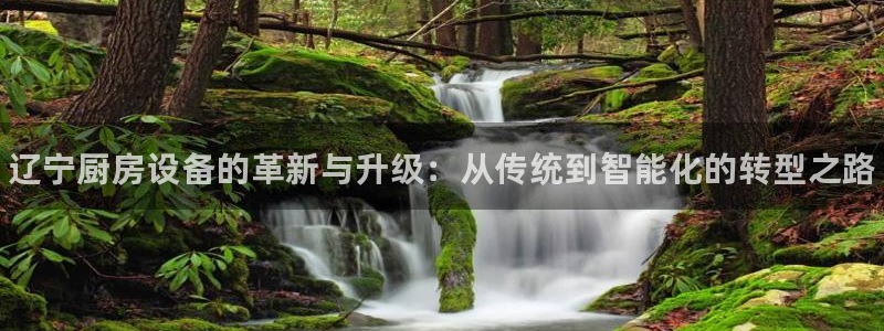 ZL尊龙凯时平台