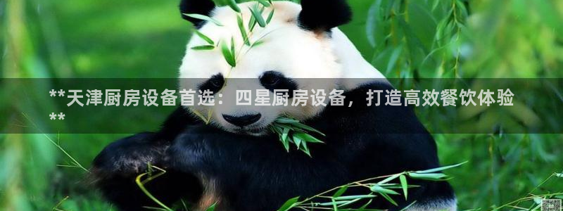 下载尊龙：**天津厨房设备首选：四星厨房设备，打造高效餐饮体