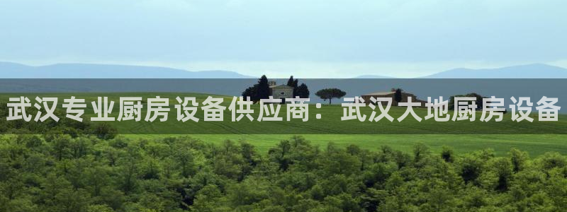 尊龙凯时是哪个国家的：武汉专业厨房设备供应商：武汉大地厨房设