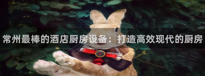 尊龙d88手机版下载：常州最棒的酒店厨房设备：打造高效现代的