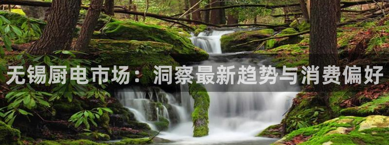 尊龙凯时的最新消息