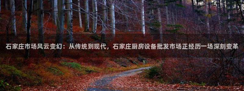 尊龙服饰有限公司地址