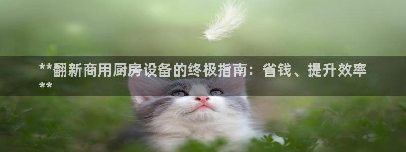 kb88凯时会员登录：**翻新商用厨房设备的终极指南：省钱、