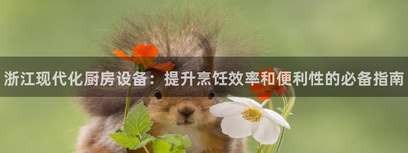 尊龙凯时ag旗舰厅官：浙江现代化厨房设备：提升烹饪效率和便利