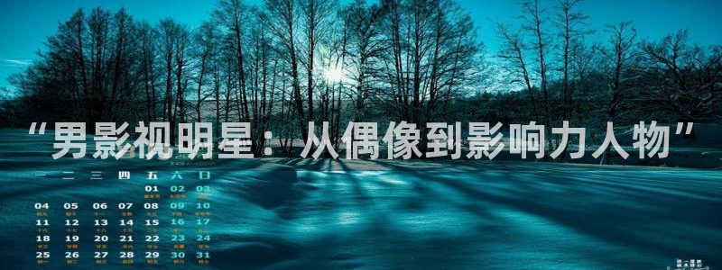光棍影院苹果：“男影视明星：从偶像到影响力人物”