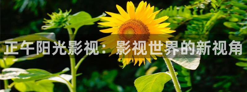 苹果视频影院：正午阳光影视：影视世界的新视角