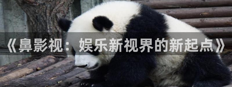 苹果影院在线