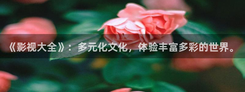 www.苹果影院：《影视大全》：多元化文化，体验丰富多彩的世界。