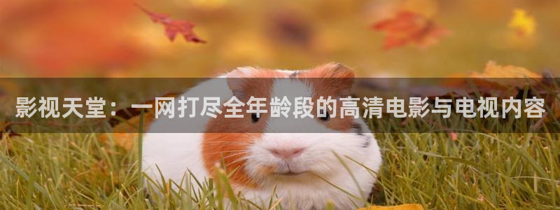 苹果电视剧神马影院在线观看
